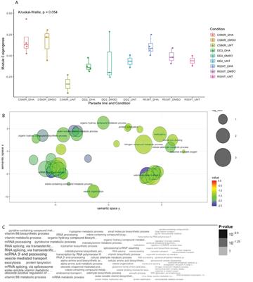 Transcriptome-module phenotype association study implicates extracellular vesicles biogenesis in Plasmodium falciparum artemisinin resistance